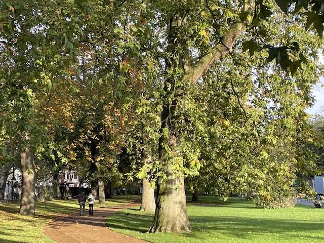 Londrs_Hyde_park_MDMM