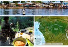 Bassin du Congo. Rapport d’évaluation 2025 : biodiversité, histoire, résilience et durabilité